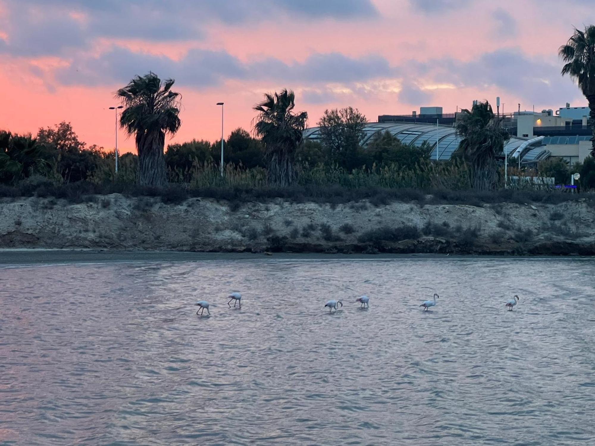 Mar Menor Paradise By Los Pinos Holidays San Pedro del Pinatar Exterior foto