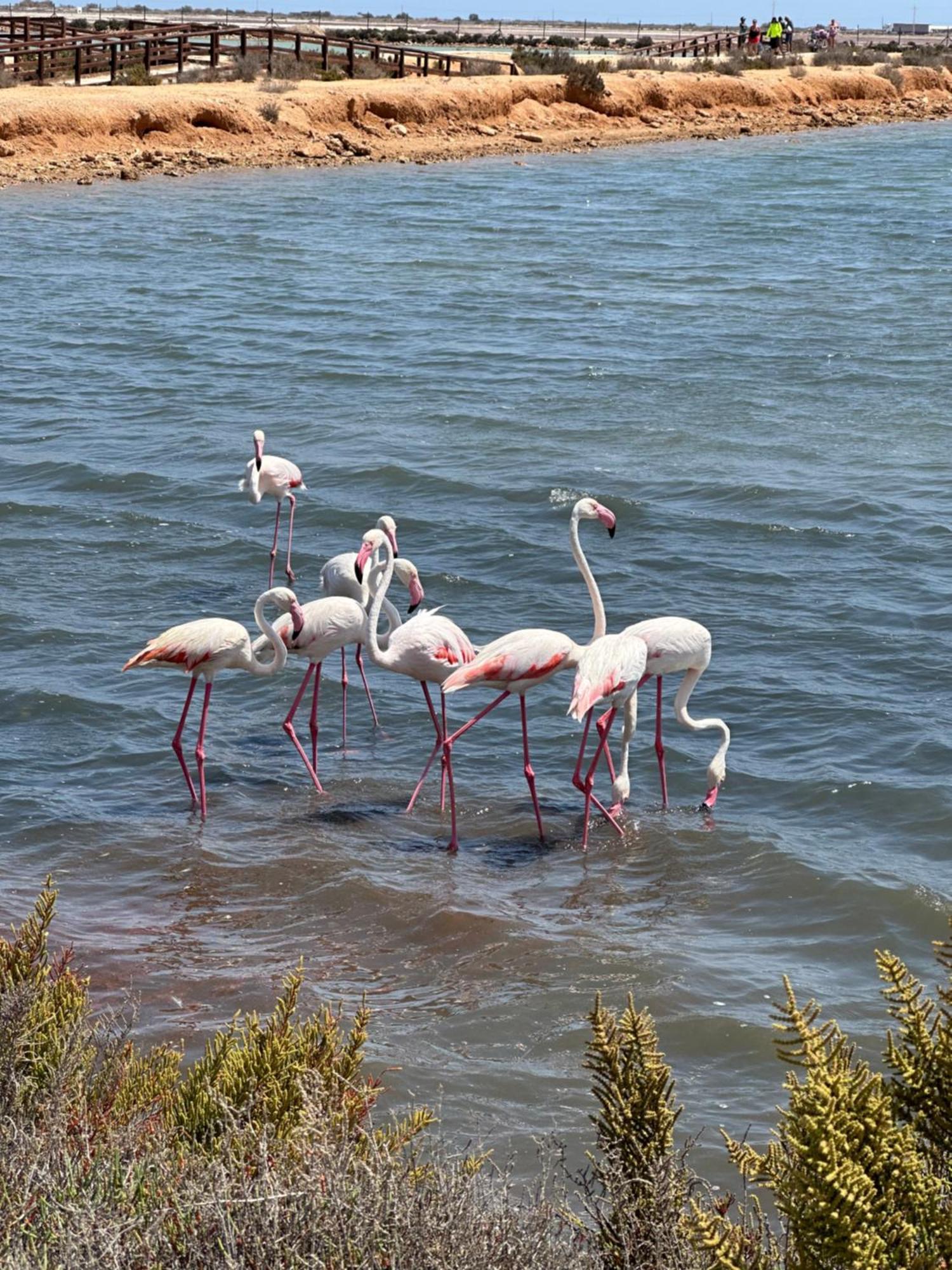 Mar Menor Paradise By Los Pinos Holidays San Pedro del Pinatar Exterior foto